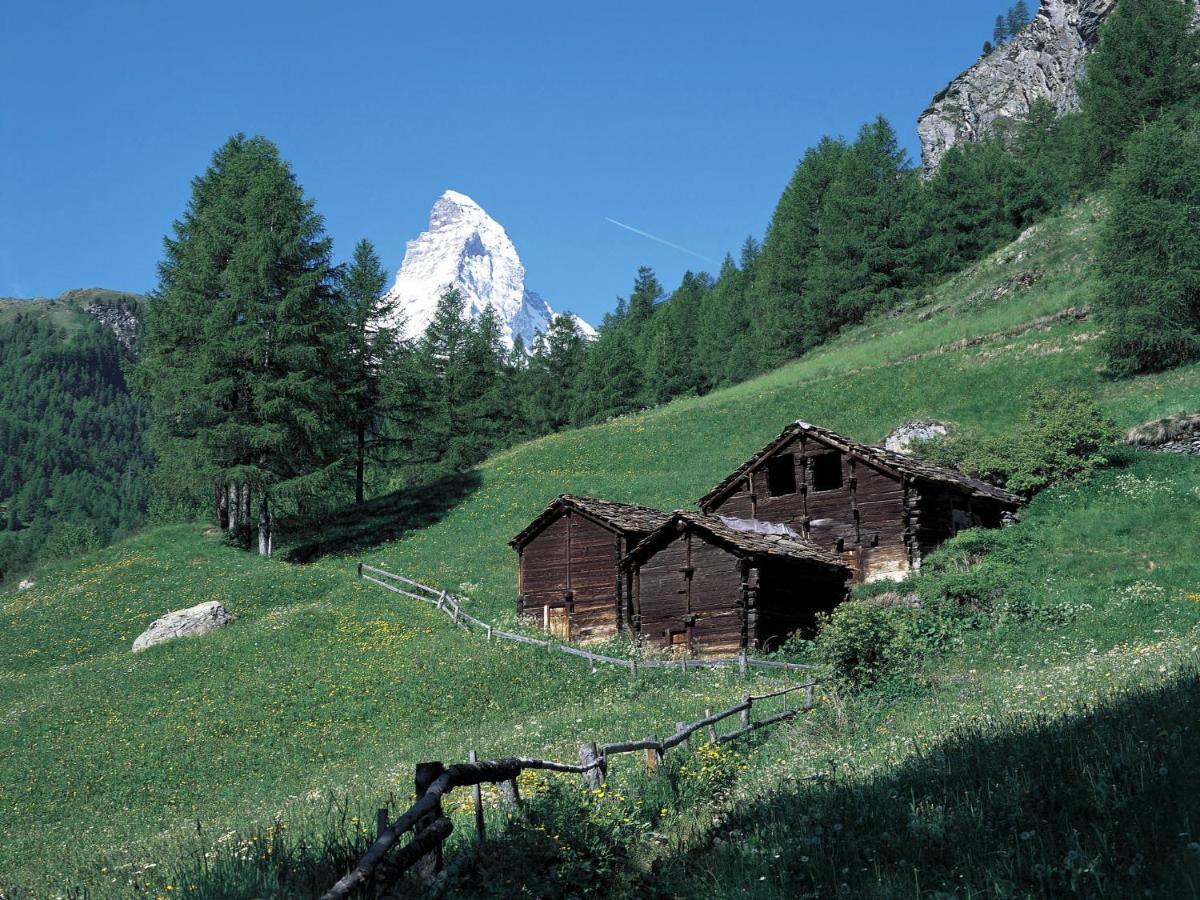 Apartment Zur Matte B-1 By Interhome Zermatt Exteriör bild